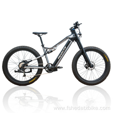 Electric Fat Tire Bike with Battery
